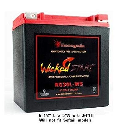 RG30L-WS Wicked Start 600+ CCA Battery; Harley 2004 Electra Glide Standard & Electra Glide Standard EFI; Part# BTX30L, B30L-B, CB30L-B, YIX30L, 66010-97A/B/C