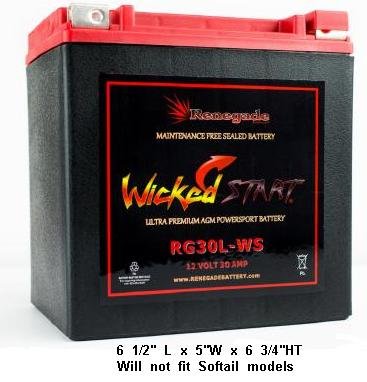 Renegade RG30L-WS 12 Volt 30 AH Ultra Premium Wicked Start 600+ CCA Touring Battery