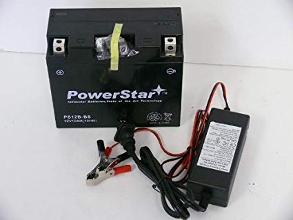 PowerStar-CHARGER and BATTERY COMBO FOR 02-03 Yamaha YZF-R1 YT12B-BS 2002-2003 YZFR1-2 Year Warranty
